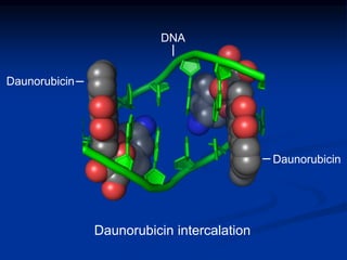 Daunorubicin
Daunorubicin
Daunorubicin intercalation
DNA
 