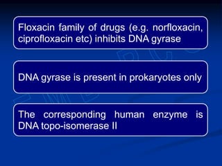 Floxacin family of drugs (e.g. norfloxacin,
ciprofloxacin etc) inhibits DNA gyrase
DNA gyrase is present in prokaryotes only
The corresponding human enzyme is
DNA topo-isomerase II
 