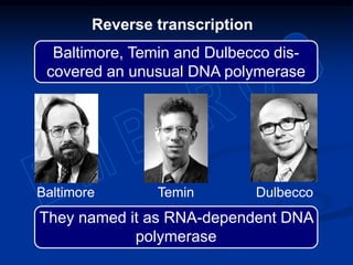 Baltimore Temin Dulbecco
Reverse transcription
They named it as RNA-dependent DNA
polymerase
Baltimore, Temin and Dulbecco dis-
covered an unusual DNA polymerase
 
