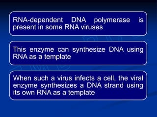 RNA-dependent DNA polymerase is
present in some RNA viruses
This enzyme can synthesize DNA using
RNA as a template
When such a virus infects a cell, the viral
enzyme synthesizes a DNA strand using
its own RNA as a template
 