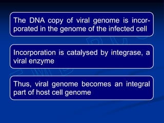 The DNA copy of viral genome is incor-
porated in the genome of the infected cell
Incorporation is catalysed by integrase, a
viral enzyme
Thus, viral genome becomes an integral
part of host cell genome
 