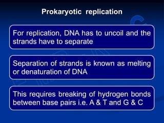 For replication, DNA has to uncoil and the
strands have to separate
Separation of strands is known as melting
or denaturation of DNA
This requires breaking of hydrogen bonds
between base pairs i.e. A & T and G & C
Prokaryotic replication
 