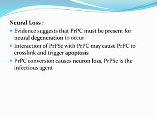 Neural Loss :
 Evidence suggests that PrPC must be present for
neural degeneration to occur
 Interaction of PrPSc with PrPC may cause PrPC to
crosslink and trigger apoptosis
 PrPC conversion causes neuron loss, PrPSc is the
infectious agent
 