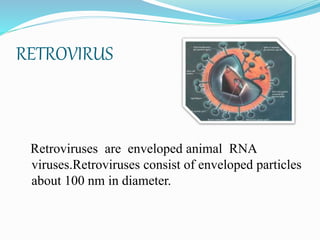RETROVIRUS
Retroviruses are enveloped animal RNA
viruses.Retroviruses consist of enveloped particles
about 100 nm in diameter.
 