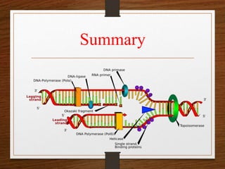 Replication | PPT