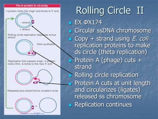 Replication | PPT