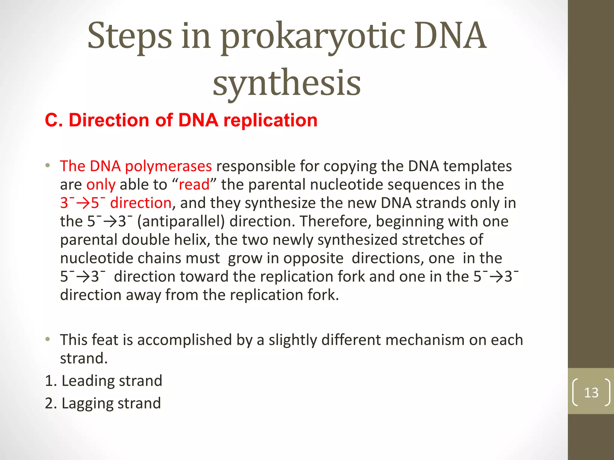 Steps in prokaryotic DNA
synthesis
C. Direction of DNA replication
• The DNA polymerases responsible for copying the DNA templates
are only able to “read” the parental nucleotide sequences in the
3¯→5¯ direction, and they synthesize the new DNA strands only in
the 5¯→3¯ (antiparallel) direction. Therefore, beginning with one
parental double helix, the two newly synthesized stretches of
nucleotide chains must grow in opposite directions, one in the
5¯→3¯ direction toward the replication fork and one in the 5¯→3¯
direction away from the replication fork.
• This feat is accomplished by a slightly different mechanism on each
strand.
1. Leading strand
2. Lagging strand
13
 