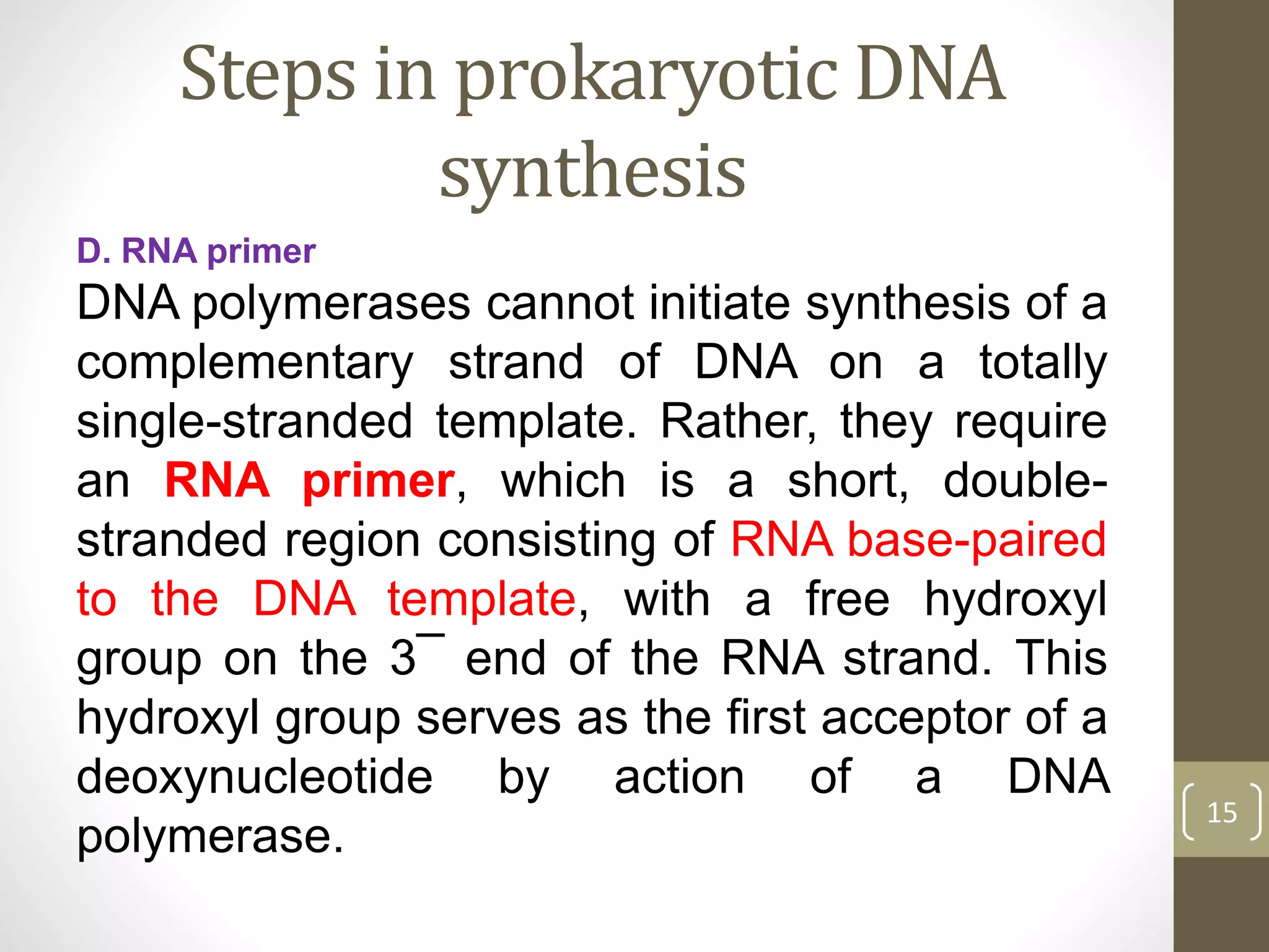Steps in prokaryotic DNA
synthesis
D. RNA primer
DNA polymerases cannot initiate synthesis of a
complementary strand of DNA on a totally
single-stranded template. Rather, they require
an RNA primer, which is a short, double-
stranded region consisting of RNA base-paired
to the DNA template, with a free hydroxyl
group on the 3¯ end of the RNA strand. This
hydroxyl group serves as the first acceptor of a
deoxynucleotide by action of a DNA
polymerase.
15
 