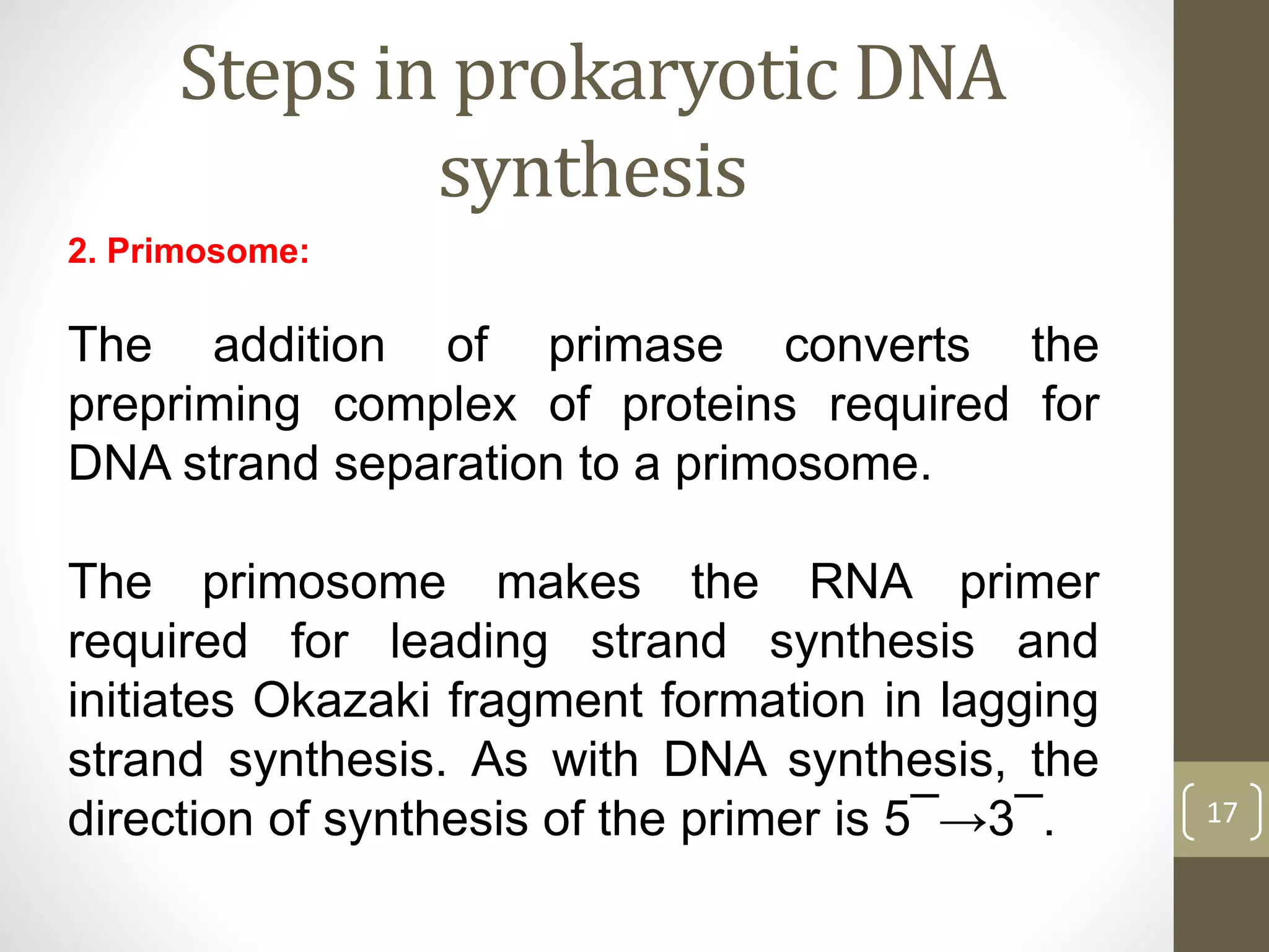 Steps in prokaryotic DNA
synthesis
2. Primosome:
The addition of primase converts the
prepriming complex of proteins required for
DNA strand separation to a primosome.
The primosome makes the RNA primer
required for leading strand synthesis and
initiates Okazaki fragment formation in lagging
strand synthesis. As with DNA synthesis, the
direction of synthesis of the primer is 5¯→3¯. 17
 