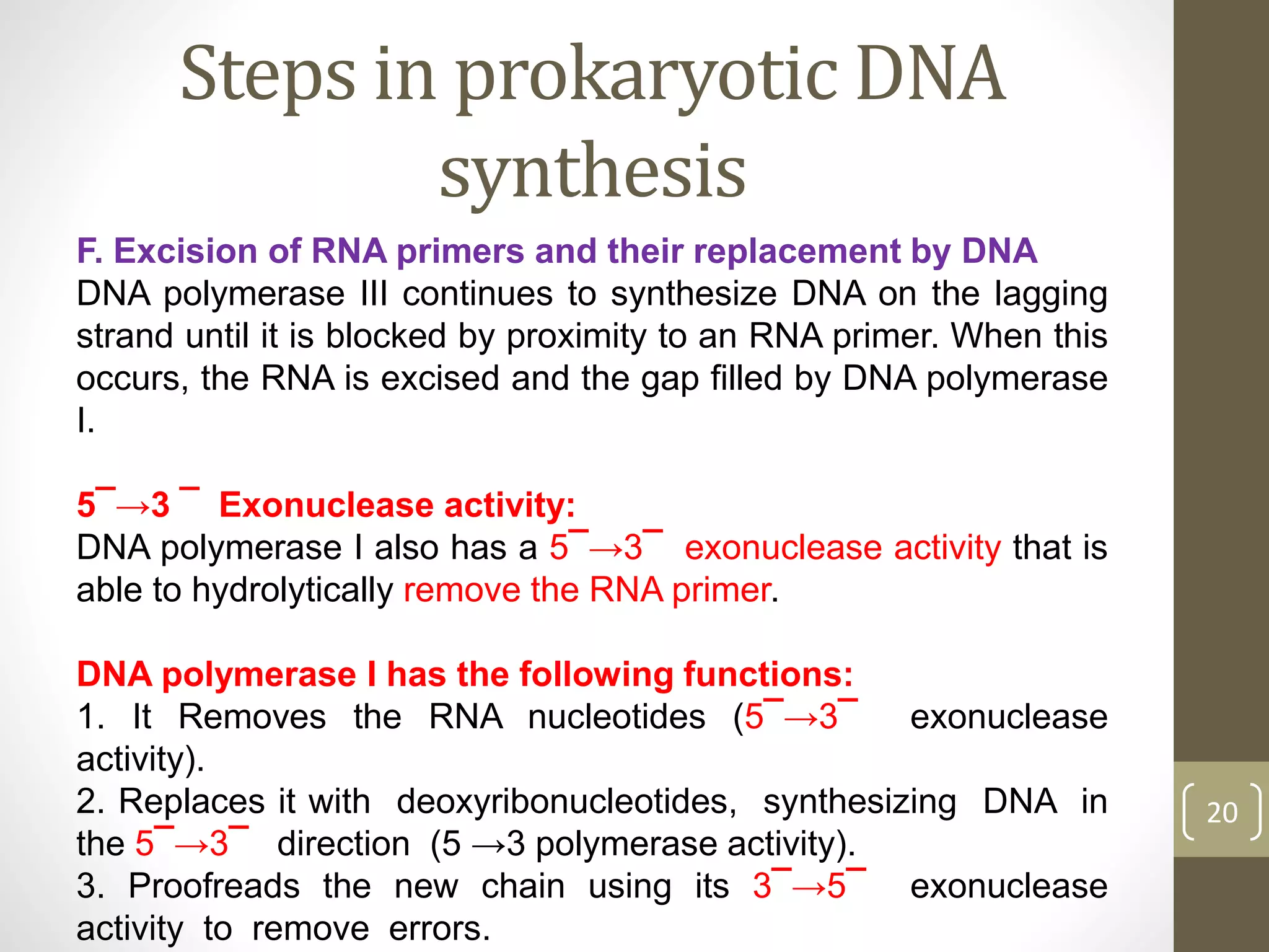 Steps in prokaryotic DNA
synthesis
F. Excision of RNA primers and their replacement by DNA
DNA polymerase III continues to synthesize DNA on the lagging
strand until it is blocked by proximity to an RNA primer. When this
occurs, the RNA is excised and the gap filled by DNA polymerase
I.
5¯→3 ¯ Exonuclease activity:
DNA polymerase I also has a 5¯→3¯ exonuclease activity that is
able to hydrolytically remove the RNA primer.
DNA polymerase I has the following functions:
1. It Removes the RNA nucleotides (5¯→3¯ exonuclease
activity).
2. Replaces it with deoxyribonucleotides, synthesizing DNA in
the 5¯→3¯ direction (5 →3 polymerase activity).
3. Proofreads the new chain using its 3¯→5¯ exonuclease
activity to remove errors.
20
 