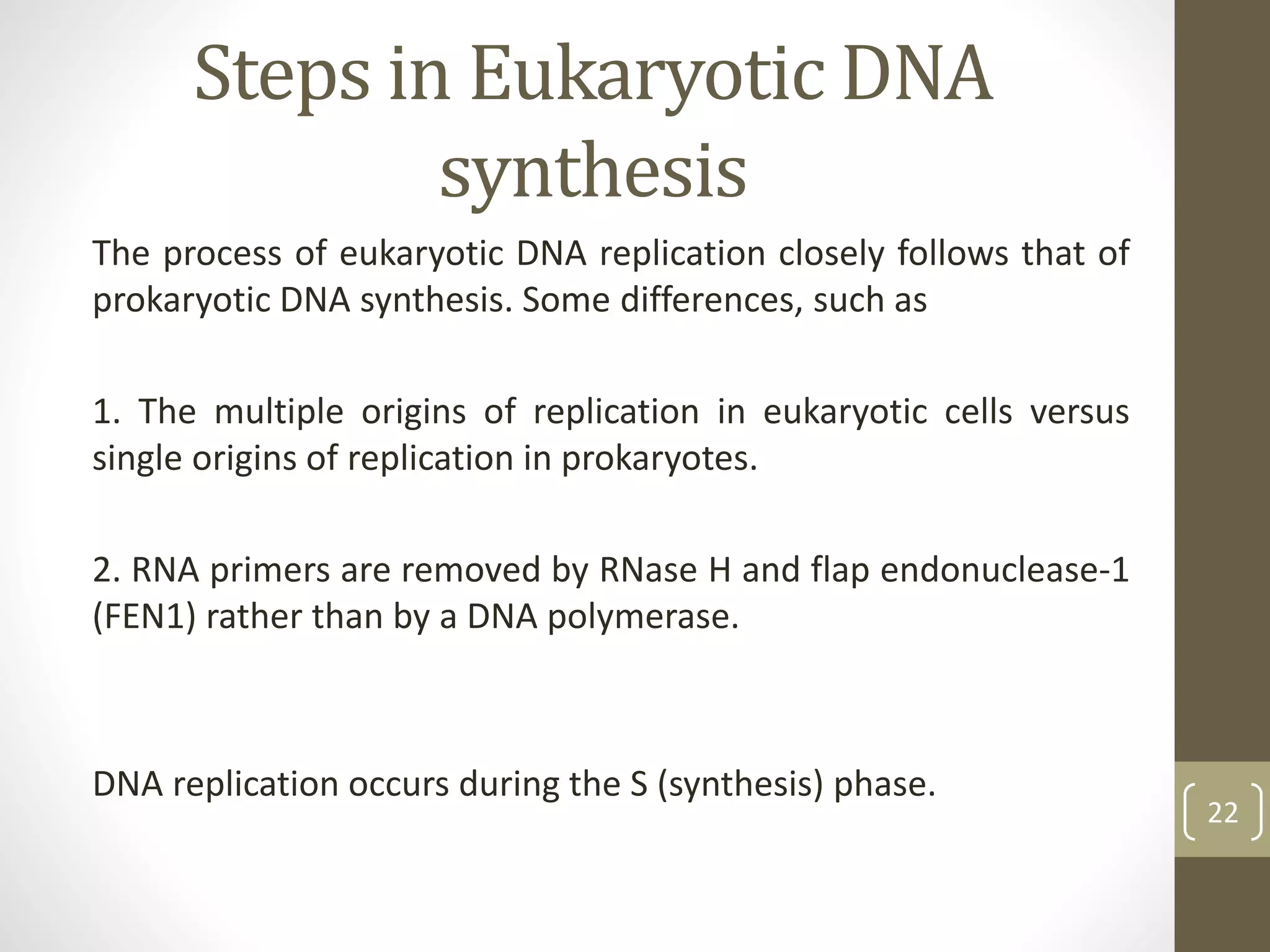 Steps in Eukaryotic DNA
synthesis
The process of eukaryotic DNA replication closely follows that of
prokaryotic DNA synthesis. Some differences, such as
1. The multiple origins of replication in eukaryotic cells versus
single origins of replication in prokaryotes.
2. RNA primers are removed by RNase H and flap endonuclease-1
(FEN1) rather than by a DNA polymerase.
DNA replication occurs during the S (synthesis) phase.
22
 