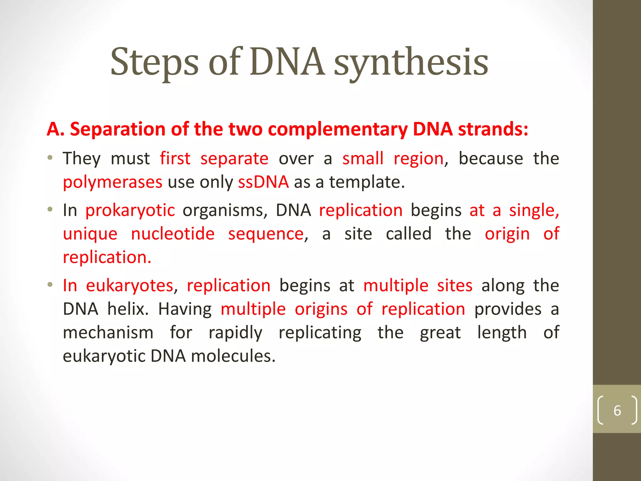 Steps of DNA synthesis
A. Separation of the two complementary DNA strands:
• They must first separate over a small region, because the
polymerases use only ssDNA as a template.
• In prokaryotic organisms, DNA replication begins at a single,
unique nucleotide sequence, a site called the origin of
replication.
• In eukaryotes, replication begins at multiple sites along the
DNA helix. Having multiple origins of replication provides a
mechanism for rapidly replicating the great length of
eukaryotic DNA molecules.
6
 