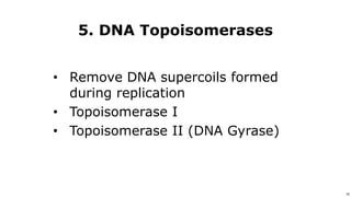 10
Use or disclosure of data contained on this sheet is subject to the restriction on the title page of this proposal or quotation. 10
5. DNA Topoisomerases
• Remove DNA supercoils formed
during replication
• Topoisomerase I
• Topoisomerase II (DNA Gyrase)
 