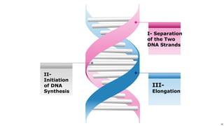14
Use or disclosure of data contained on this sheet is subject to the restriction on the title page of this proposal or quotation. 14
II-
Initiation
of DNA
Synthesis
III-
Elongation
I- Separation
of the Two
DNA Strands
 