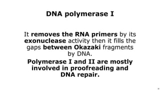 22
Use or disclosure of data contained on this sheet is subject to the restriction on the title page of this proposal or quotation. 22
DNA polymerase I
It removes the RNA primers by its
exonuclease activity then it fills the
gaps between Okazaki fragments
by DNA.
Polymerase I and II are mostly
involved in proofreading and
DNA repair.
 