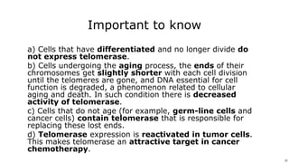 31
Use or disclosure of data contained on this sheet is subject to the restriction on the title page of this proposal or quotation. 31
Important to know
a) Cells that have differentiated and no longer divide do
not express telomerase.
b) Cells undergoing the aging process, the ends of their
chromosomes get slightly shorter with each cell division
until the telomeres are gone, and DNA essential for cell
function is degraded, a phenomenon related to cellular
aging and death. In such condition there is decreased
activity of telomerase.
c) Cells that do not age (for example, germ-line cells and
cancer cells) contain telomerase that is responsible for
replacing these lost ends.
d) Telomerase expression is reactivated in tumor cells.
This makes telomerase an attractive target in cancer
chemotherapy.
 