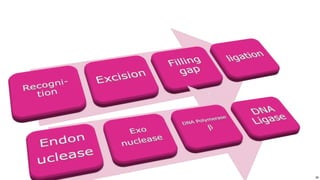 34
Use or disclosure of data contained on this sheet is subject to the restriction on the title page of this proposal or quotation. 34
 