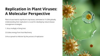 Replication-in-Plant-Viruses-A-Molecular-Perspective (1).pptx