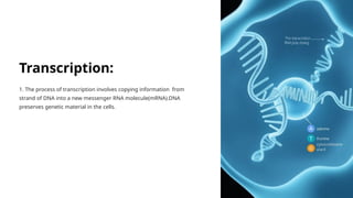 Transcription:
1. The process of transcription involves copying information from
strand of DNA into a new messenger RNA molecule(mRNA).DNA
preserves genetic material in the cells.
 