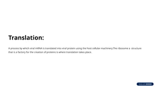 Translation:
A process by which viral mRNA is translated into viral protein using the host cellular machinery.The ribosome a structure
that is a factory for the creation of proteins is where translation takes place.
 