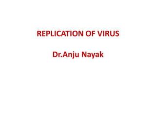 REPLICATION OF VIRUS
Dr.Anju Nayak
 