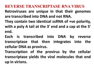 Virus Rna Reverse Transcriptase Replication-of-Viruses and its life cycle | PDF