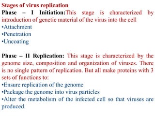 Replication-of-Virus.life cycle of virus | PDF