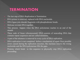 DNA Replication | PPTX
