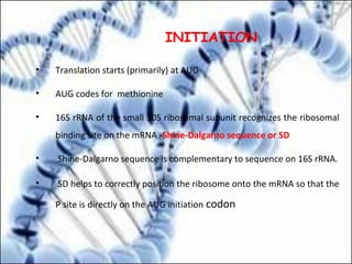 • Translation starts (primarily) at AUG
• AUG codes for methionine
• 16S rRNA of the small 30S ribosomal subunit recognizes the ribosomal
binding site on the mRNA -Shine-Dalgarno sequence or SD
• Shine-Dalgarno sequence is complementary to sequence on 16S rRNA.
• SD helps to correctly position the ribosome onto the mRNA so that the
P site is directly on the AUG initiation codon
INITIATION
 