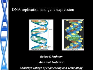 DNA replication and gene expression
C
T
A
A
T
CG
GC
A
C G
AT
AT
A T
TA
C
TA
0.34 nm
3.4 nm
(a) Key features of DNA structure
G
1 nm
G
(c) Space-filling model
T
Rahna K Rathnan
Assistant Professor
Sahrdaya college of engineering and Technology
 
