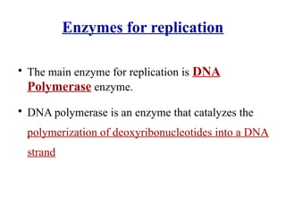 replication and transcription stages involved | PPTX
