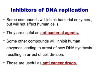 Replication Inhibitors replication and transcription stages involved | PPTX