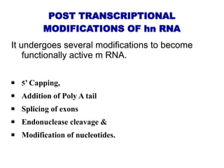 replication and transcription stages involved | PPTX