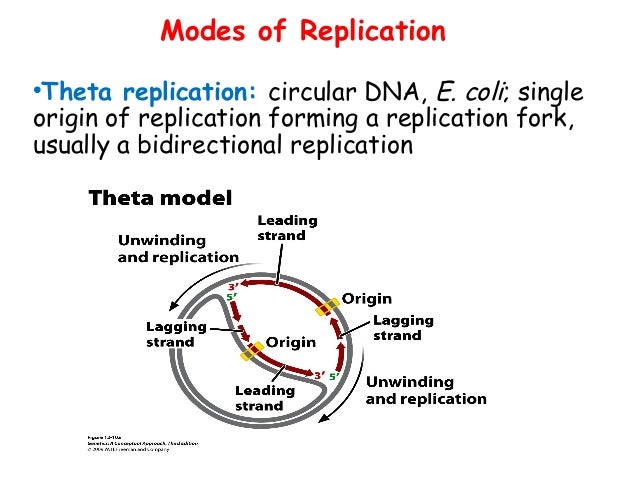 Replication Class Final Ppt