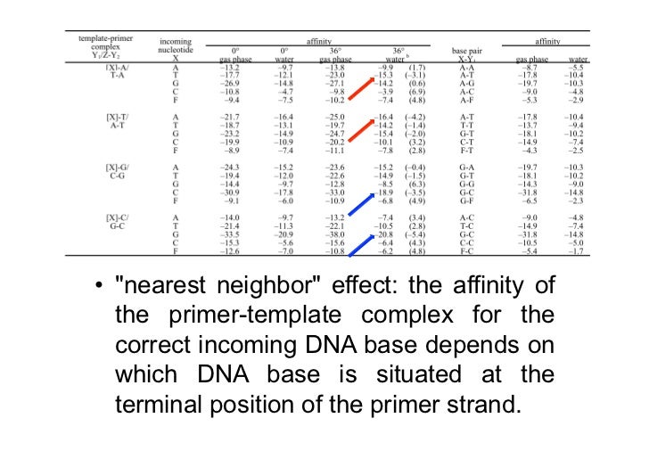 dna replication watoc 2011