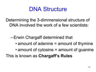 17
DNA Structure
Determining the 3-dimmensional structure of
DNA involved the work of a few scientists:
–Erwin Chargaff determined that
• amount of adenine = amount of thymine
• amount of cytosine = amount of guanine
This is known as Chargaff’s Rules
 