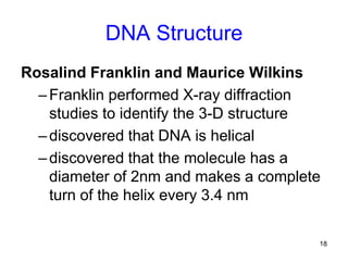 18
DNA Structure
Rosalind Franklin and Maurice Wilkins
–Franklin performed X-ray diffraction
studies to identify the 3-D structure
–discovered that DNA is helical
–discovered that the molecule has a
diameter of 2nm and makes a complete
turn of the helix every 3.4 nm
 
