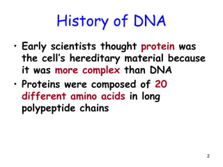 2
History of DNA
• Early scientists thought protein was
the cell’s hereditary material because
it was more complex than DNA
• Proteins were composed of 20
different amino acids in long
polypeptide chains
 