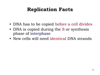 22
Replication Facts
• DNA has to be copied before a cell divides
• DNA is copied during the S or synthesis
phase of interphase
• New cells will need identical DNA strands
 