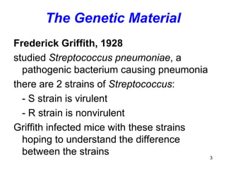 3
The Genetic Material
Frederick Griffith, 1928
studied Streptococcus pneumoniae, a
pathogenic bacterium causing pneumonia
there are 2 strains of Streptococcus:
- S strain is virulent
- R strain is nonvirulent
Griffith infected mice with these strains
hoping to understand the difference
between the strains
 