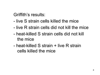 4
Griffith’s results:
- live S strain cells killed the mice
- live R strain cells did not kill the mice
- heat-killed S strain cells did not kill
the mice
- heat-killed S strain + live R strain
cells killed the mice
 