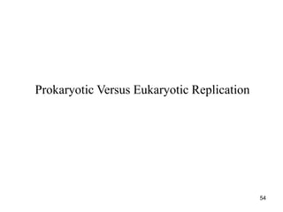 54
Prokaryotic Versus Eukaryotic Replication
 