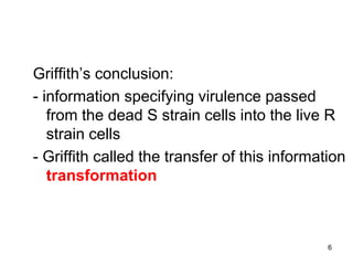 6
Griffith’s conclusion:
- information specifying virulence passed
from the dead S strain cells into the live R
strain cells
- Griffith called the transfer of this information
transformation
 