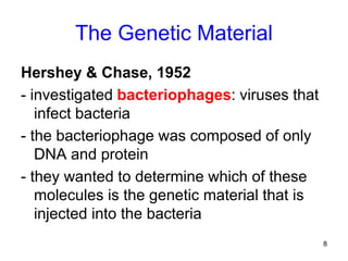 8
The Genetic Material
Hershey & Chase, 1952
- investigated bacteriophages: viruses that
infect bacteria
- the bacteriophage was composed of only
DNA and protein
- they wanted to determine which of these
molecules is the genetic material that is
injected into the bacteria
 