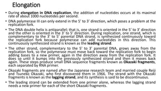 Elongation
• During elongation in DNA replication, the addition of nucleotides occurs at its maximal
rate of about 1000 nucleotides per second.
• DNA polymerase III can only extend in the 5’ to 3’ direction, which poses a problem at the
replication fork.
• The DNA double helix is antiparallel; that is, one strand is oriented in the 5’ to 3’ direction
and the other is oriented in the 3’ to 5’ direction. During replication, one strand, which is
complementary to the 3’ to 5’ parental DNA strand, is synthesized continuously toward
the replication fork because polymerase can add nucleotides in this direction. This
continuously synthesized strand is known as the leading strand.
• The other strand, complementary to the 5’ to 3’ parental DNA, grows away from the
replication fork, so the polymerase must move back toward the replication fork to begin
adding bases to a new primer, again in the direction away from the replication fork. It
does so until it bumps into the previously synthesized strand and then it moves back
again. These steps produce small DNA sequence fragments known as Okazaki fragments,
each separated by RNA primer.
• Okazaki fragments are named after the Japanese research team and married couple Reiji
and Tsuneko Okazaki, who first discovered them in 1966. The strand with the Okazaki
fragments is known as the lagging strand, and its synthesis is said to be discontinuous.
• The leading strand can be extended from one primer alone, whereas the lagging strand
needs a new primer for each of the short Okazaki fragments.
 