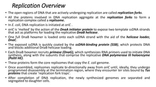 Replication Overview
• The open regions of DNA that are actively undergoing replication are called replication forks.
• All the proteins involved in DNA replication aggregate at the replication forks to form a
replication complex called a replisome.
• In E. coli, DNA replication is initiated at oriC .
• oriC is ‘melted’ by the action of the DnaA initiator protein to expose two template ssDNA strands
that act as platforms for loading the replicative DnaB helicase.
• One full DnaB hexamer is loaded onto each ssDNA strand with the aid of the helicase loader,
DnaC.
• The exposed ssDNA is quickly coated by the ssDNA-binding protein (SSB), which protects DNA
and blocks additional DnaB helicase loading.
• Each DnaB hexamer recruits primase (DnaG), which synthesizes RNA primers used to initiate DNA
synthesis, along with the subunits that comprise the replicative DNA polymerase III holoenzyme
(PolIII HE).
• These proteins form the core replisomes that copy the E. coli genome.
• Once assembled, replisomes replicate bi-directionally away from oriC until, ideally, they undergo
programmed disassembly at the termination region, where they encounter ter sites bound by Tus
proteins that create ‘replication fork traps’.
• After completion of DNA replication, the newly synthesized genomes are separated and
segregated to daughter cells.
 