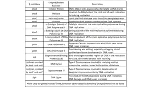 Table 9.1 Enzymes involved in DNA Replication in the prokaryote, E. coli
 