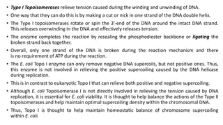 • Type I Topoisomerases relieve tension caused during the winding and unwinding of DNA.
• One way that they can do this is by making a cut or nick in one strand of the DNA double helix.
• The Type I topoisomerases rotate or spin the 3′-end of the DNA around the intact DNA strand.
This releases overwinding in the DNA and effectively releases tension.
• The enzyme completes the reaction by resealing the phosphodiester backbone or ligating the
broken strand back together.
• Overall, only one strand of the DNA is broken during the reaction mechanism and there
is no requirement of ATP during the reaction.
• The E. coli Topo I enzyme can only remove negative DNA supercoils, but not positive ones. Thus,
this enzyme is not involved in relieving the positive supercoiling caused by the DNA helicase
during replication.
• This is in contrast to eukaryotic Topo I that can relieve both positive and negative supercoiling.
• Although E. coli Topoisomerase I is not directly involved in relieving the tension caused by DNA
replication, it is essential for E. coli viability. It is thought to help balance the actions of the Type II
topoisomerases and help maintain optimal supercoiling density within the chromosomal DNA.
• Thus, Topo I is thought to help maintain homeostatic balance of chromosome supercoiling
within E. coli.
 