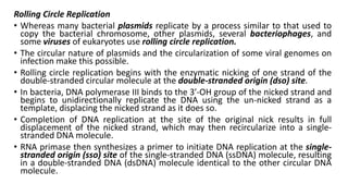 Rolling Circle Replication
• Whereas many bacterial plasmids replicate by a process similar to that used to
copy the bacterial chromosome, other plasmids, several bacteriophages, and
some viruses of eukaryotes use rolling circle replication.
• The circular nature of plasmids and the circularization of some viral genomes on
infection make this possible.
• Rolling circle replication begins with the enzymatic nicking of one strand of the
double-stranded circular molecule at the double-stranded origin (dso) site.
• In bacteria, DNA polymerase III binds to the 3′-OH group of the nicked strand and
begins to unidirectionally replicate the DNA using the un-nicked strand as a
template, displacing the nicked strand as it does so.
• Completion of DNA replication at the site of the original nick results in full
displacement of the nicked strand, which may then recircularize into a single-
stranded DNA molecule.
• RNA primase then synthesizes a primer to initiate DNA replication at the single-
stranded origin (sso) site of the single-stranded DNA (ssDNA) molecule, resulting
in a double-stranded DNA (dsDNA) molecule identical to the other circular DNA
molecule.
 