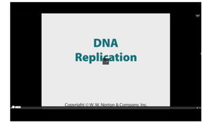 Replication in Bacteria.pptx